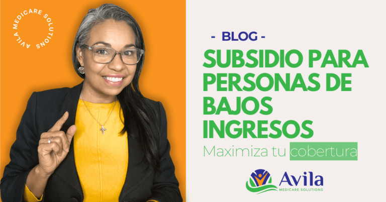Subsidio para Personas de Bajos Ingresos